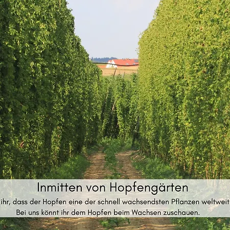 アパート Holledau-apartments - Auszeit Im Schoenen Hopfenland In Bayern - Voll Ausgestattete - Garten - Balkon - Naehe Muenchen *