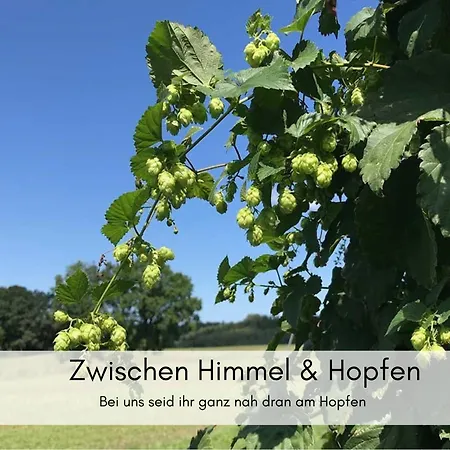 Holledau-apartments - Auszeit Im Schoenen Hopfenland In Bayern - Voll Ausgestattete - Garten - Balkon - Naehe Muenchen Osterwaal
